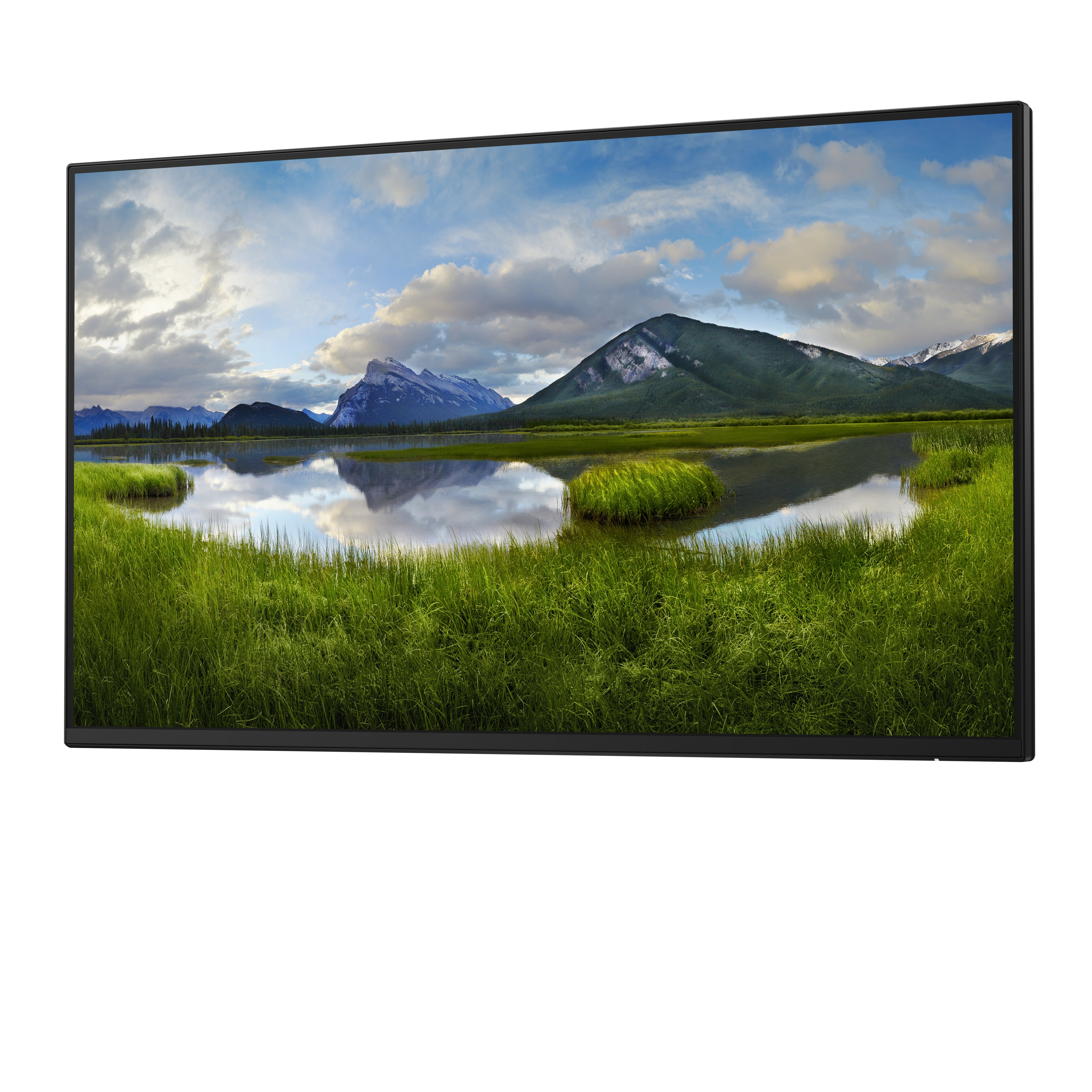 Dell P2425H 24" Full HD Monitor IPS Panel 100Hz (Without Stand) - Image 2