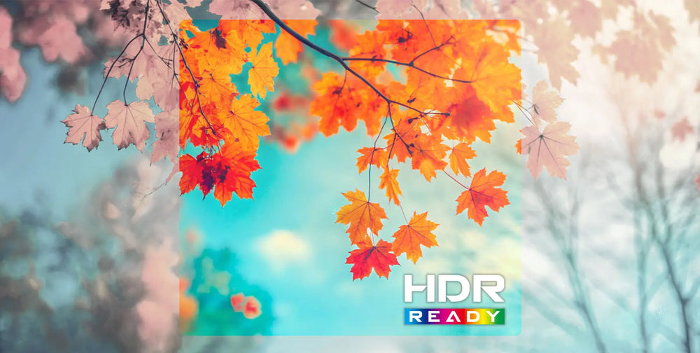 Experience Stunning Visuals with HDR Ready