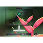 HP EliteStudio 8 All-in-One G1i 23.8" Desktop PC with Intel Core Ultra 5, 16GB RAM, 512GB SSD, Windows 11 Pro - Image 21