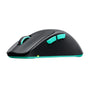 Cherry XTRFY M64 Wireless Gaming Mouse - Black