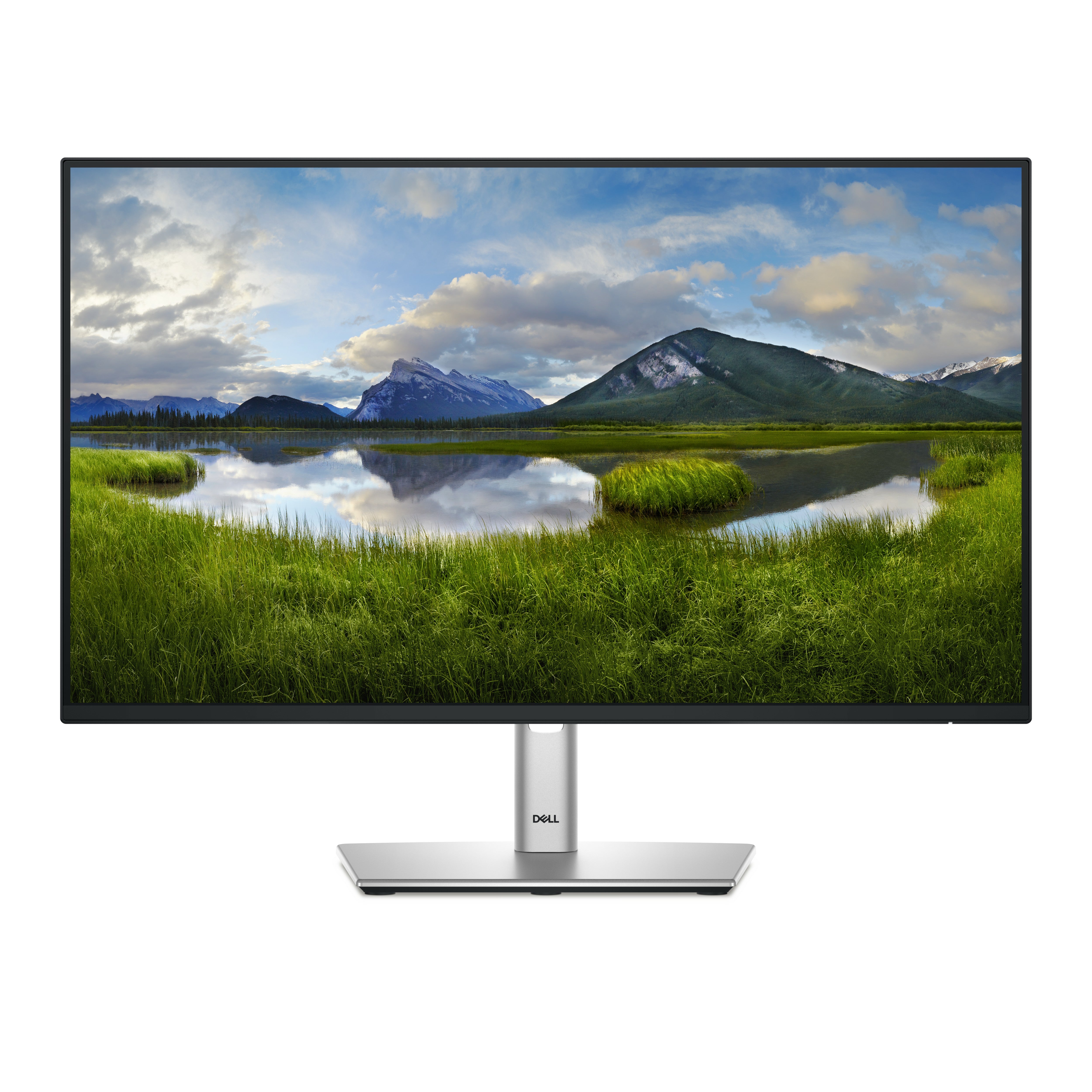 Dell P2425HE 23.8" Full HD Monitor IPS Panel 100Hz