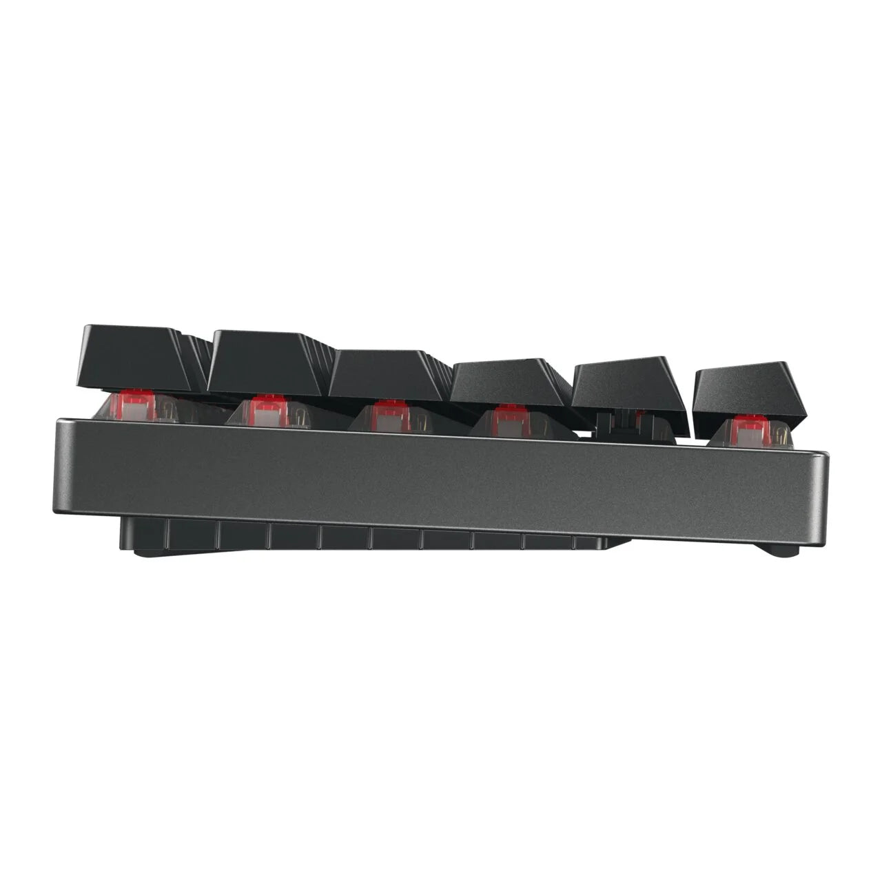 Cherry MX 8.2 TKL RGB Wireless Keyboard