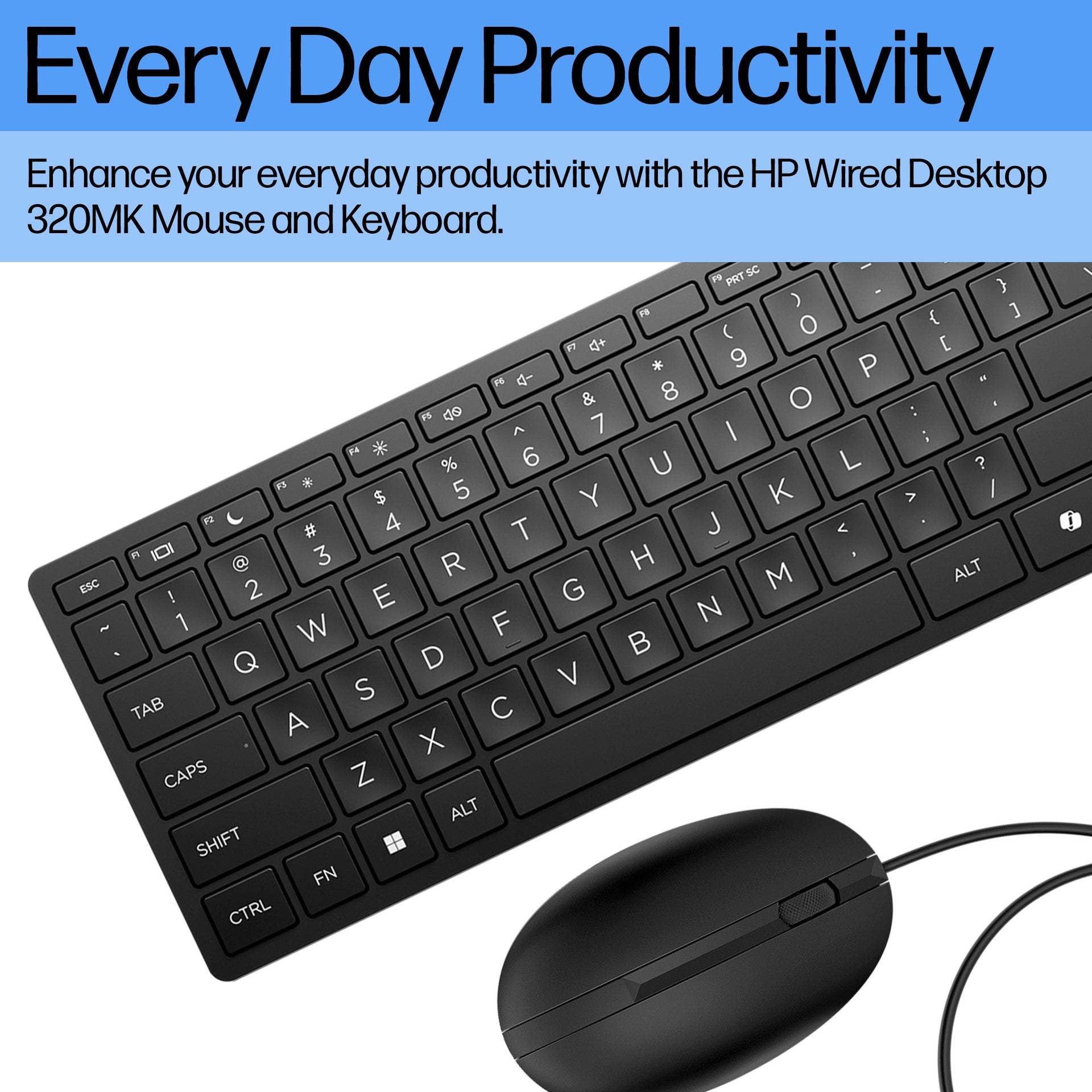 HP Wired Desktop 320MK Keyboard and Mouse Combo