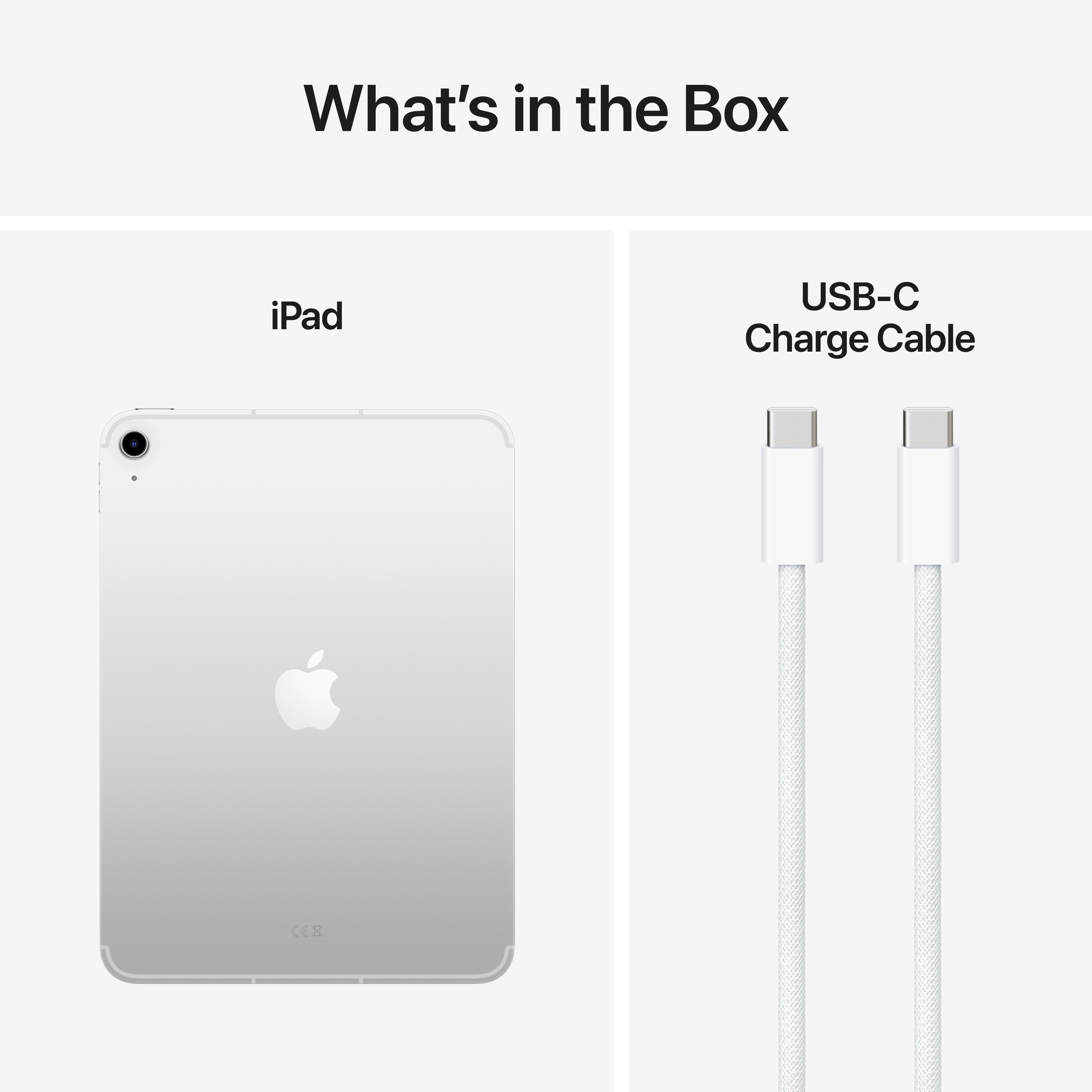 Ipad A16 256Gb Wifi Cellular Silver — Image 7